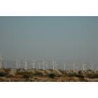 Twentynine Palms: Twenty Nine Palms