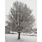 Pittsboro: Snow! Snow! And more snow!!!