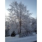 Montebello: After Snow