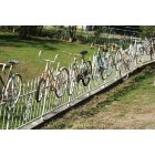 Salado: : The Bike Fence