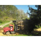 Turtletown: Timber cutting is a trade in Turtletown that support families. I had my timber cut on my property. As a person goes to work a person will need to leave early in order to avoid the log trucks.