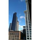Seattle: : Columbia and Smith Towers from Pioneer Square office
