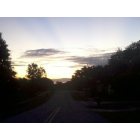 Deltona: I Took This One Day When I Was Walking Around My Old Neighborhood.