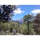 Idyllwild: view from the hill