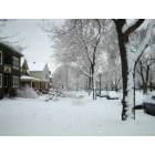 St. Paul: Summit Avenue