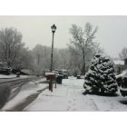 Springfield: A snowy day in Springfield, VA