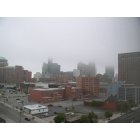 Buffalo: : Cloudy morning