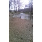 Danville: Creek at Ellis Park in the springtime