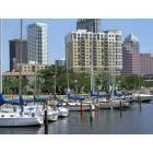 Tampa: Downtown Tampa Bayshore Marina