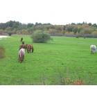 North Pembroke: Horse Farm in Pembroke, MA