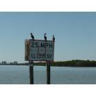 Bonita Springs: Estero Bay - Wildlife & Regulations Together.