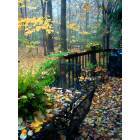 North Ridgeville: fall porch