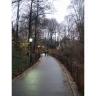 New York: : central park walk