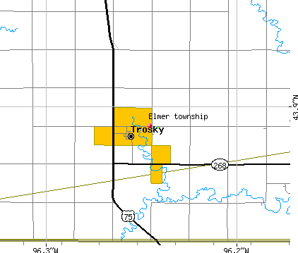 Elmer township, MN map
