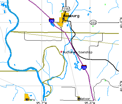 Buchanan township, MO map