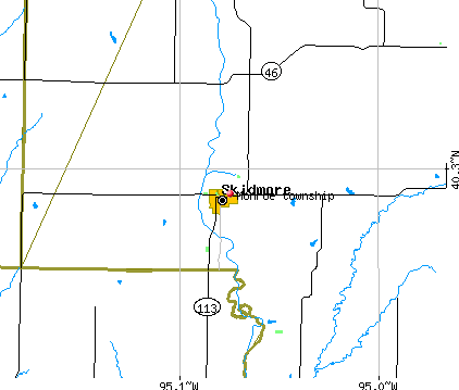 Monroe township, MO map
