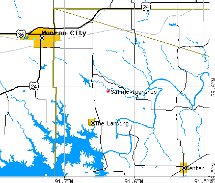 Saline township, MO map