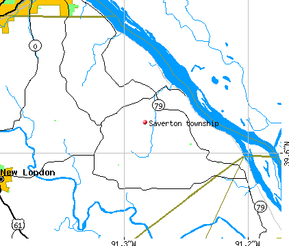 Saverton township, MO map