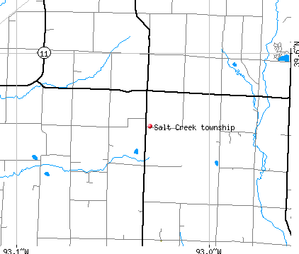 Salt Creek township, MO map