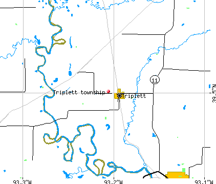 Triplett township, MO map