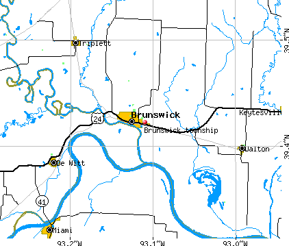 Brunswick township, MO map