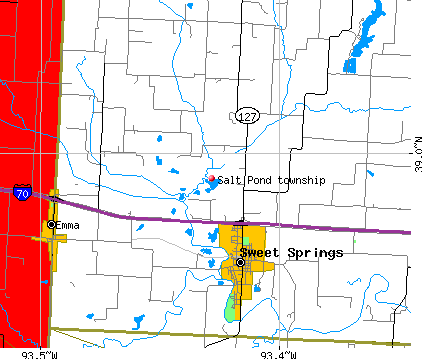 Salt Pond township, MO map