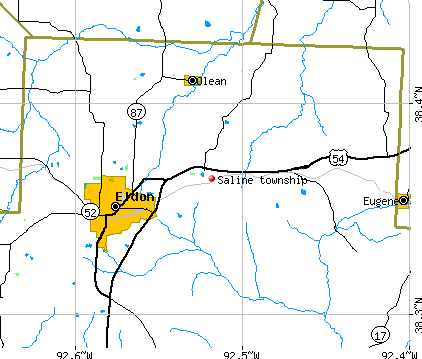 Saline township, MO map