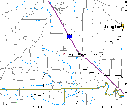 Cinque Hommes township, MO map
