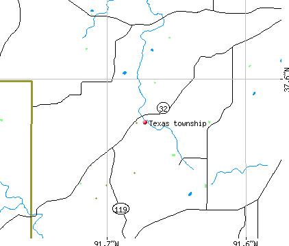 Texas township, MO map
