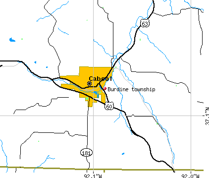 Burdine township, MO map