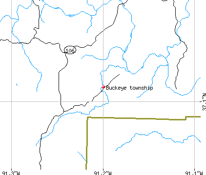 Buckeye township, MO map