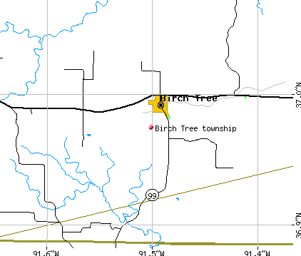 Birch Tree township, MO map