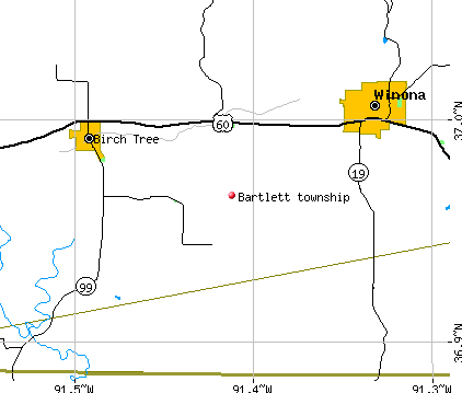 Bartlett township, MO map