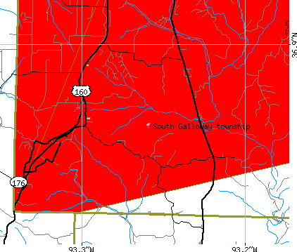 South Galloway township, MO map