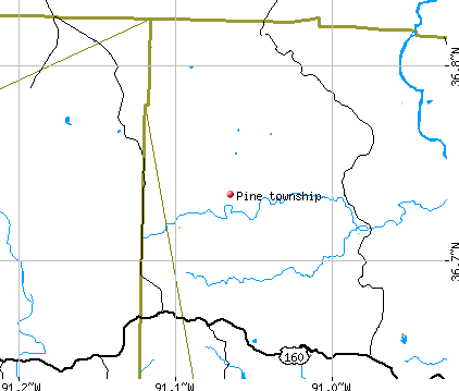 Pine township, MO map