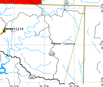 Beaver township, MO map