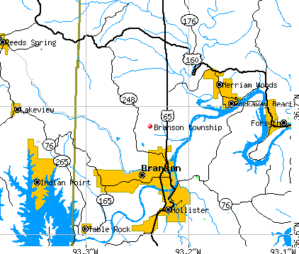 Branson township, MO map
