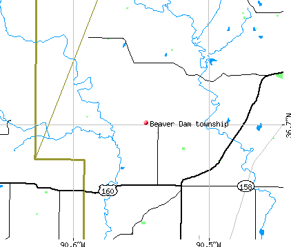 Beaver Dam township, MO map