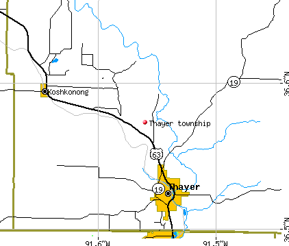 Thayer township, MO map