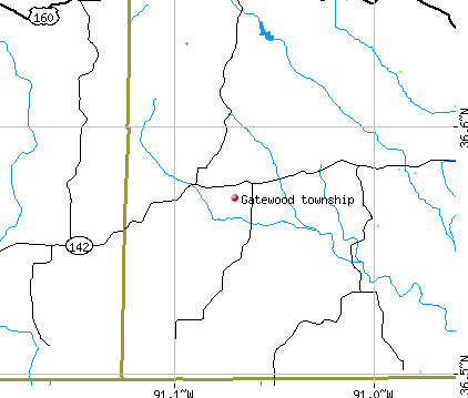 Gatewood township, MO map