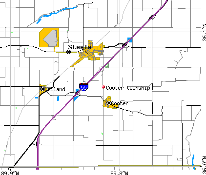 Cooter township, MO map