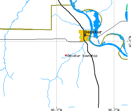 Decatur township, NE map