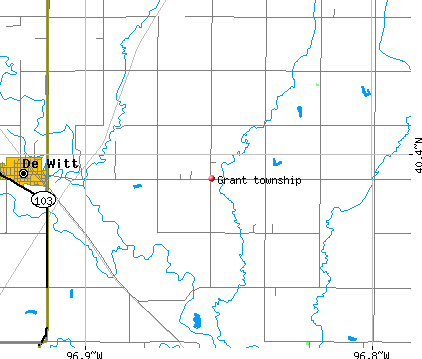 Grant township, NE map