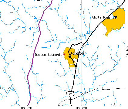 Dobson township, NC map