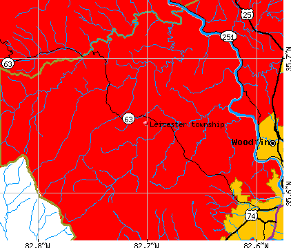 Leicester township, NC map