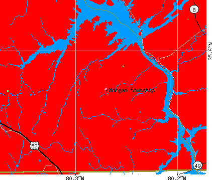 Morgan township, NC map
