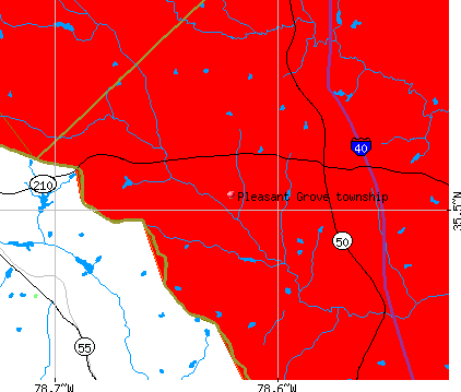 Pleasant Grove township, NC map