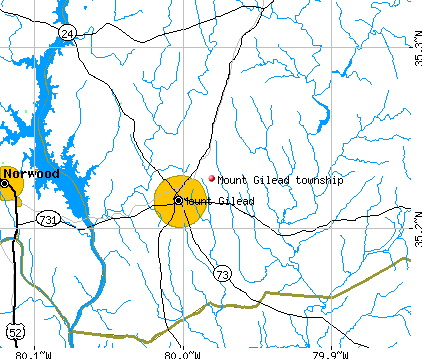 Mount Gilead township, NC map