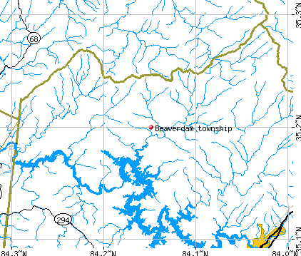 Beaverdam township, NC map
