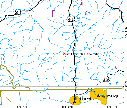 Smithbridge township, NC map